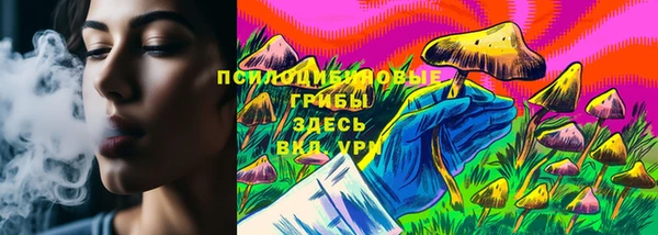 дурь Алексин