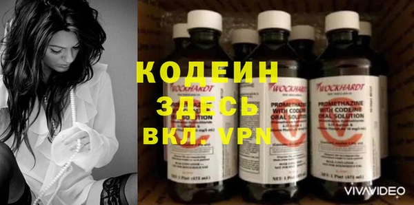 дурь Алексин